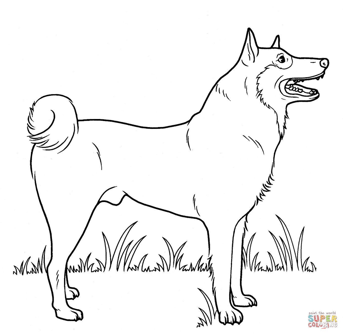 street Dog coloring page